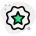 Star label sticker isolated on a white background icon