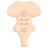 Anatomy icon