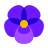 Flor Violeta icon