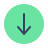 parakeet color style below icon