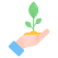 sprout icon