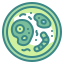 Bakterien icon