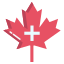 medical support icon