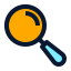 magnifier icon