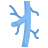 anatomy icon