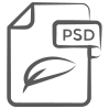 Psd File icon