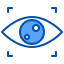 Vision icon