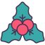 Mistletoe icon