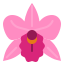 兰花 icon