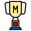 trophy icon