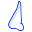 nose icon