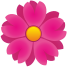 아스트라 icon
