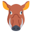 Boar icon