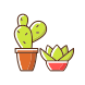 categorías-de-tienda-de-jardinería-de-suculentas-y-cactus-externas-iconos-de-colores-rellenos-papa-vector icon