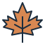 maple leaf icon