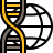 World DNA icon