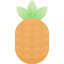 Pinapple icon