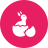 bunny icon