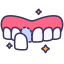 Dental Veneer icon