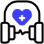 audio icon