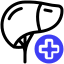 liver icon