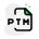 ptm file icon