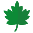 verde icon