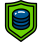 data icon