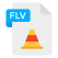 FLV File icon