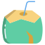 Coconut icon