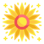 Girasol icon