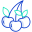 berry icon