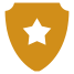 shield icon