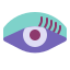 eye icon