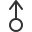 male icon