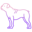 Bulldogge icon