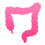 colon icon