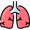 lungs icon