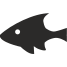 fauna icon