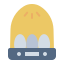 Eggs icon