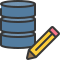 Edit Data icon