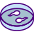 sample icon