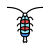 Zooplankton icon