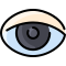 eye icon