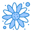 sunflower icon