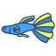 esterno-Guppy-Pesce-pesci-icongeek26-colore-lineare-icongeek26 icon