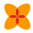 flores geométricas icon