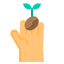 Coffee Seed icon