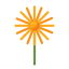外部蒲公英植物 Flaticons-平面-平面图标 icon