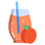 Apricot Juice icon